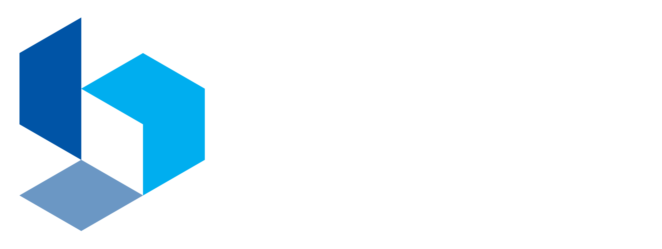 BGP Consulting logo