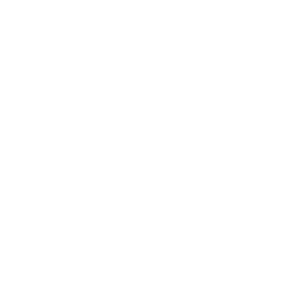Freeman Johnson logo