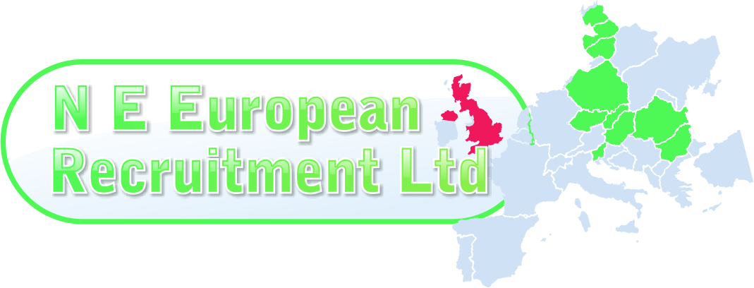 N E European Recruitment logo